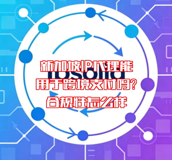 新加坡IP代理能用于跨境支付吗?合规性怎么样