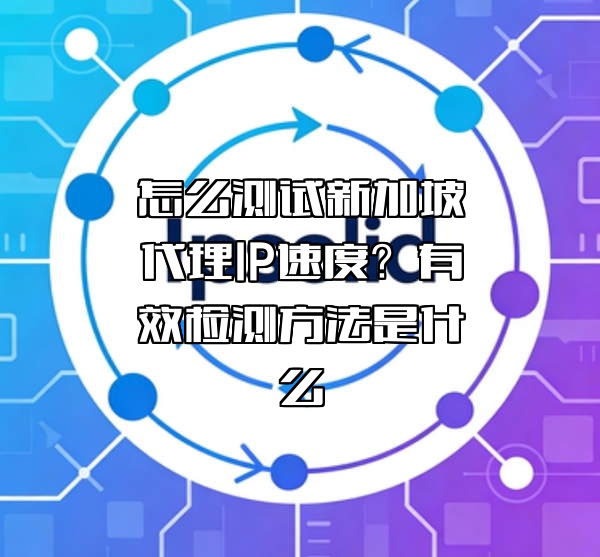 怎么测试新加坡代理IP速度?有效检测方法是什么