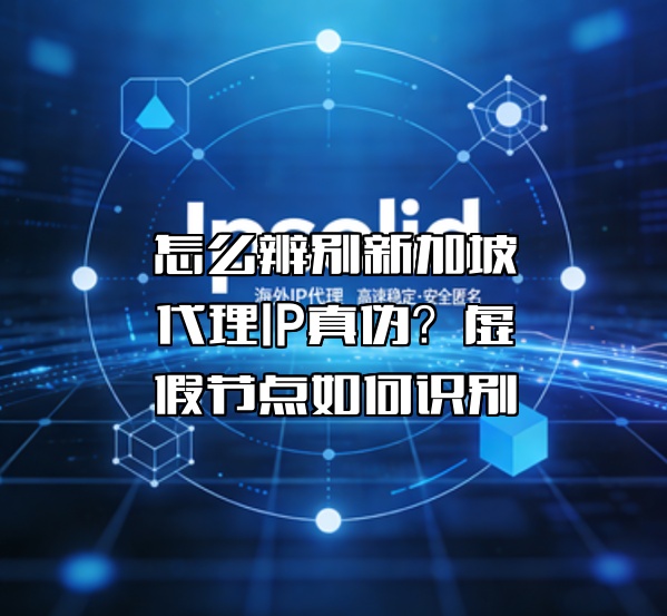 怎么辨别新加坡代理IP真伪?虚假节点如何识别