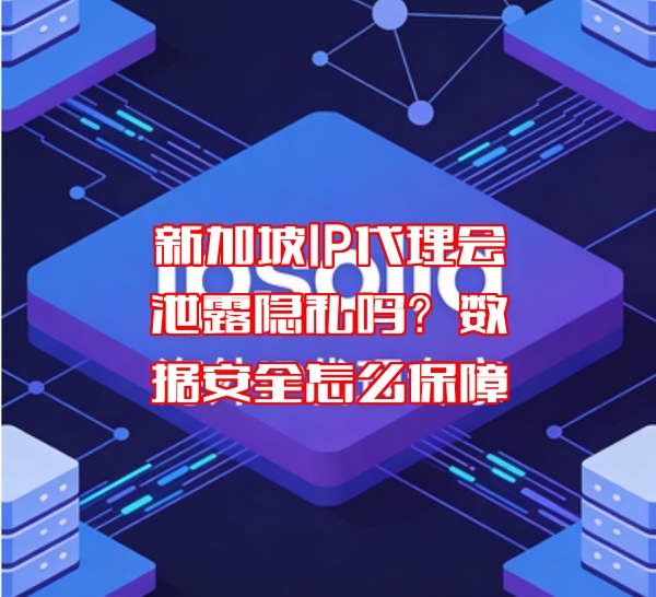 新加坡IP代理会泄露隐私吗?数据安全怎么保障