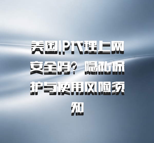 美国IP代理上网安全吗?隐私保护与使用风险须知