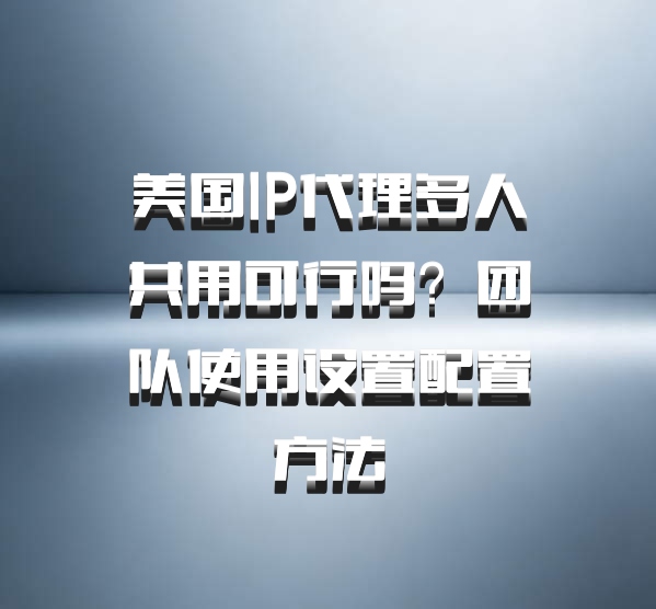 美国IP代理多人共用可行吗?团队使用设置配置方法
