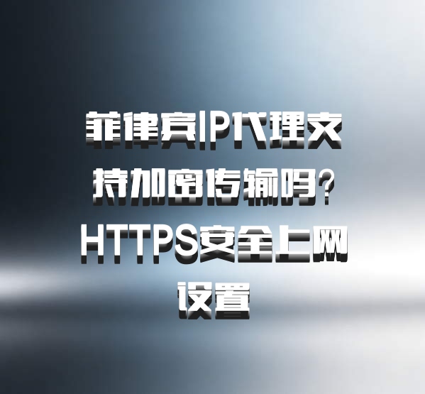 菲律宾IP代理支持加密传输吗？HTTPS安全上网设置